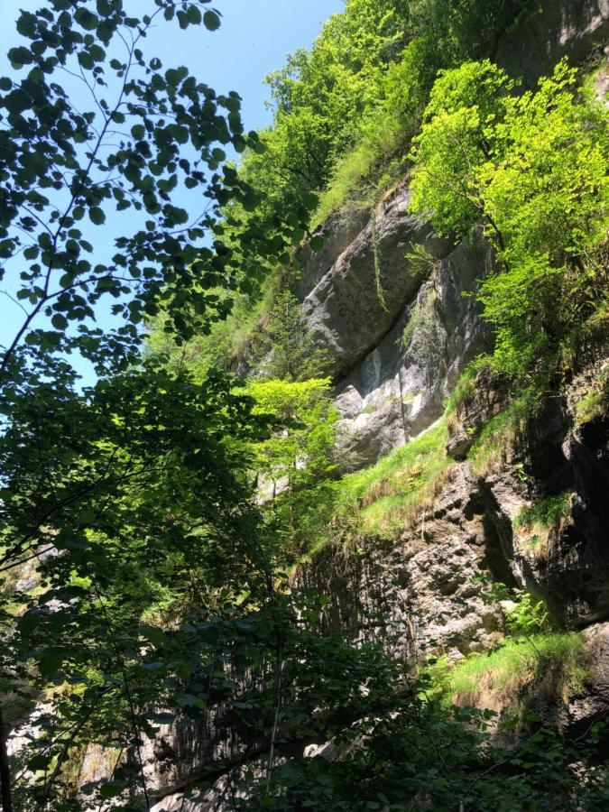 Au Pied Du Vercors Tout Est Permis La Riviere  Bagian luar foto